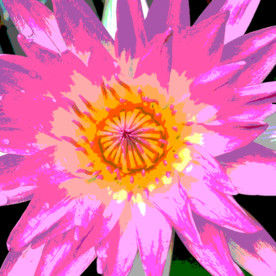 Image output for example 5